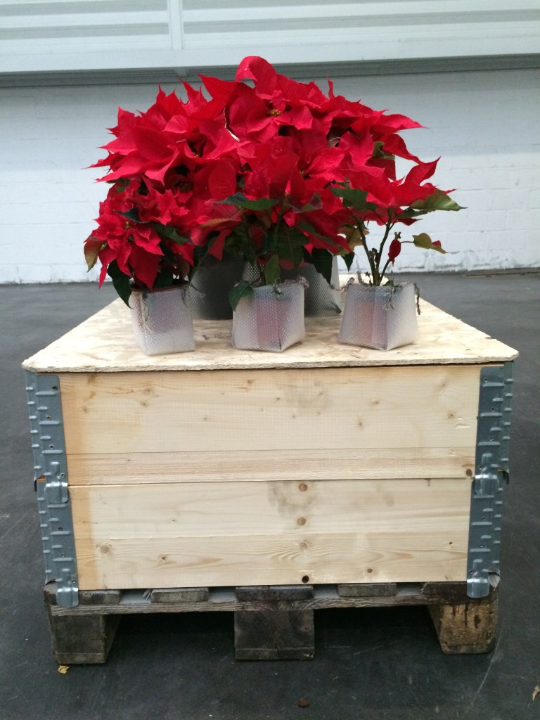 Eventos empresa Navidad